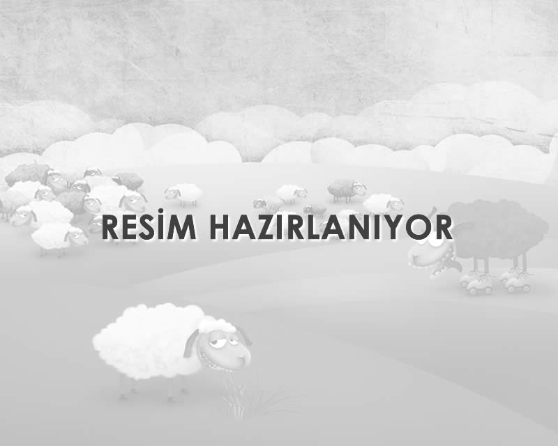 İnşaat